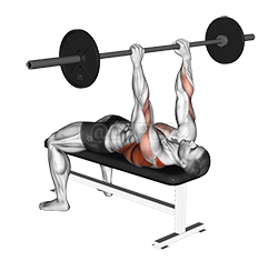 Pullover Barbell To Press demonstration