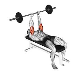 Barbell Lying Triceps Extension demonstration
