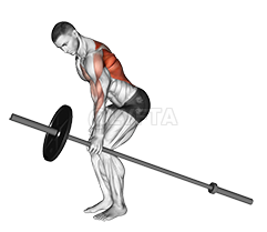 Barbell Lámh a hAon Lúbtha thar Rae demonstration