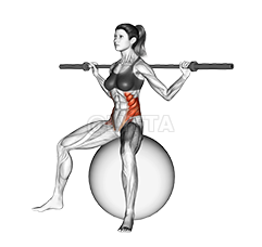 Barbell Seated Twist demonstration