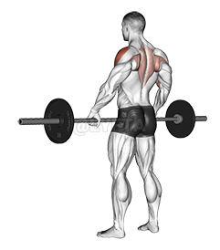 Dumbbell wide-grip upright row exercise instructions and video