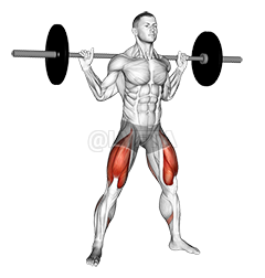 Barbell Wide Squat demonstration