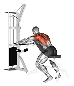 Cable Decline Seated Wide-grip Row demonstration