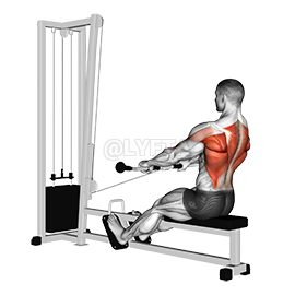 Back Workouts, Back Exercises, Seated Row