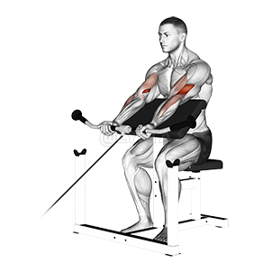 Cable Preacher Curl demonstration