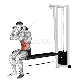 Cable Seated Crunch demonstration