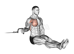 Cable Seated Shoulder Internal Rotation demonstration