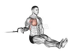 Seated Shoulder Internal Rotation demonstration