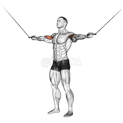 Cable Standing Inner Curl demonstration