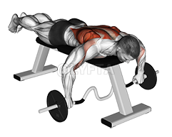 Cambered Bar Lying Row demonstration