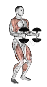 Dumbbell Clean demonstration