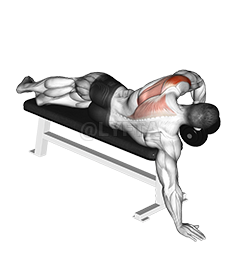 Dumbbell Lying One Arm Deltoid Rear demonstration