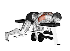 Seated bent over online reverse fly