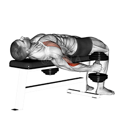 Dumbbell Lying Supine Curl demonstration