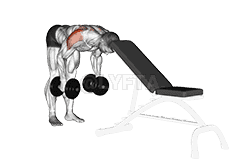 Dumbbell Lying One Arm Rear Lateral Raise Video Guide Lyfta