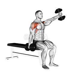 Dumbbell Seated Alternate Front Raise demonstration