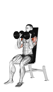 Dumbbell Seated Shoulder Press demonstration