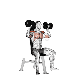 Dumbbell Seated Shoulder Press - Video Guide | Lyfta