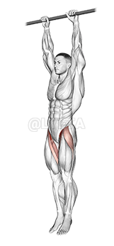 Hanging Leg Raise demonstration