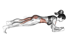 Hip Raise Bridge demonstration