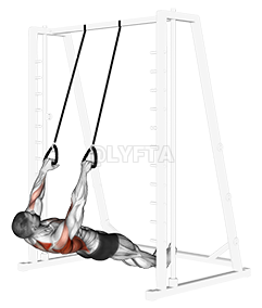 Inverted Row with Straps demonstration