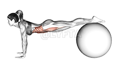 Jack knife on Ball demonstration