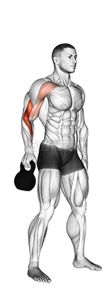 Kettlebell Bottoms Up Clean From The Hang Position demonstration