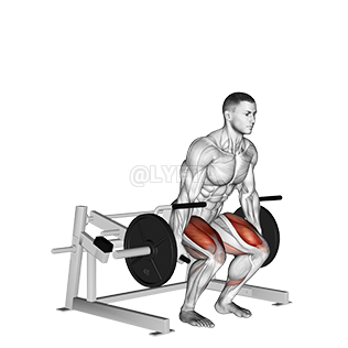Lever Seated Leg Press - Video Guide