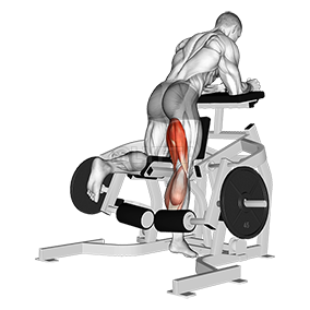 Lying leg curl exercise instructions and video