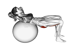 Lying Hip Lift demonstration