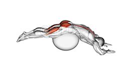 Reverse Hyper extension demonstration