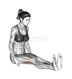 Seated Straight Leg Calf Stretch demonstration