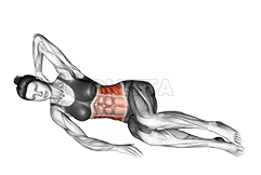 abdominales laterales demonstration