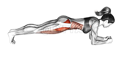 Sideway Leg Bridge demonstration