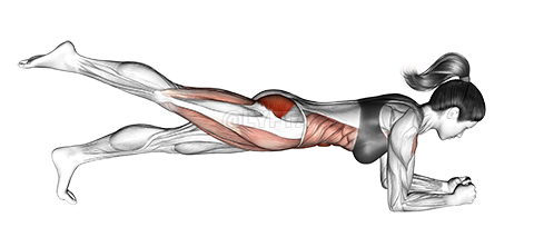 Single Leg Bridge demonstration