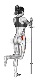 Standing Hip Abduction demonstration