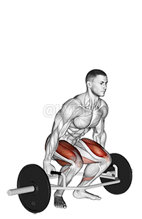 Trap Bar Deadlift demonstration