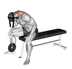 Weighted Seated Neck Extension demonstration