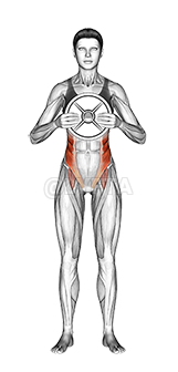 Weighted Standing Twist demonstration