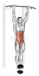 Weighted Hanging leg-hip raise demonstration