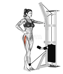 Lever Side Hip Adduction - Video Guide