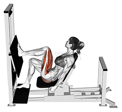 Lever Horizontal One leg Press demonstration