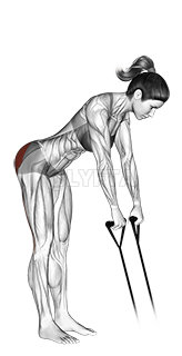 Band hip extension demonstration