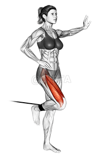 Band standing leg extension demonstration