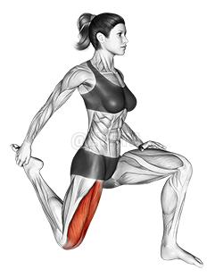 Quadriceps stretch demonstration