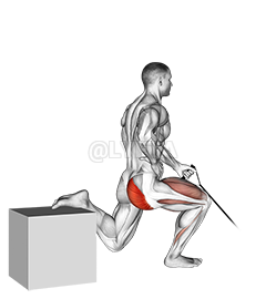 Band One Arm Single Leg Split Squat demonstration