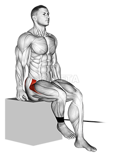Squat Band Hip Abduction  Illustrated Exercise Guide