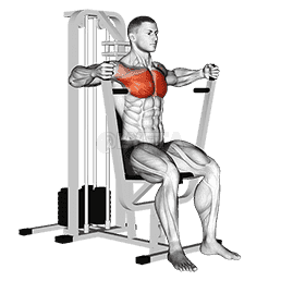 Lever Parallel Chest Press demonstration