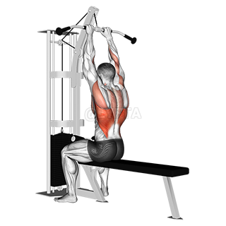 Close-Grip Front Lat Pulldown demonstration