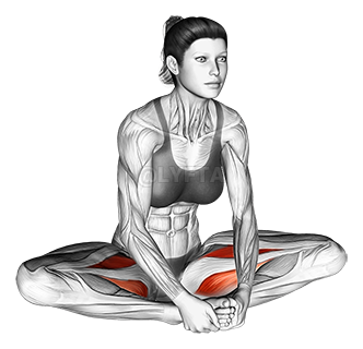 Sìgiyɔrɔma Groin Stretch demonstration